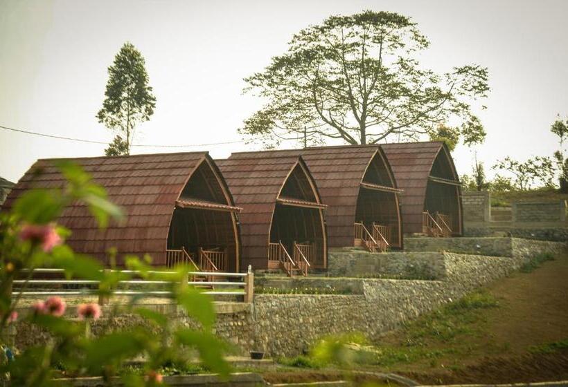 Бунгало Стандарт, The Hills Kerinci