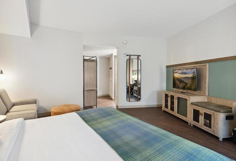 小型套房, Dollywood S Heartsong Lodge & Resort