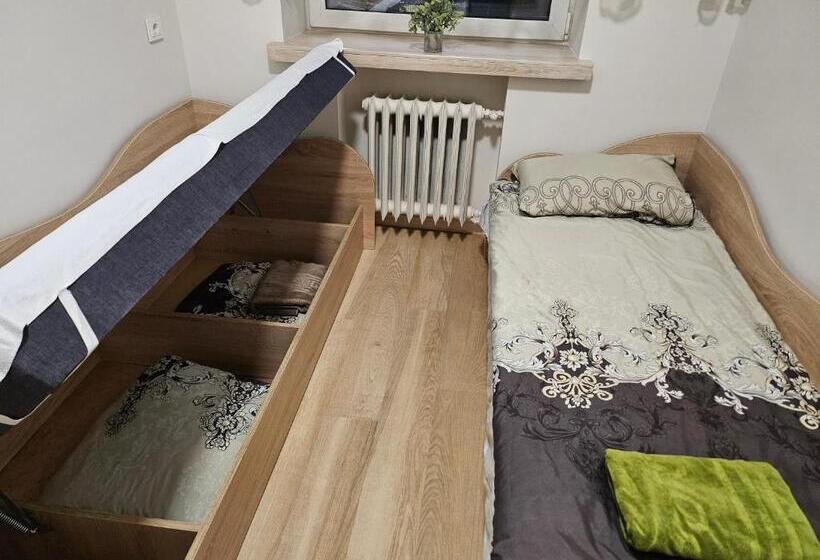 اتاق استاندارد با سرویس بهداشتی مشترک, Kauno Apartamentai