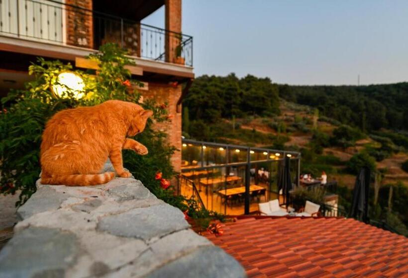 Номер Deluxe, Ephesus Retreat