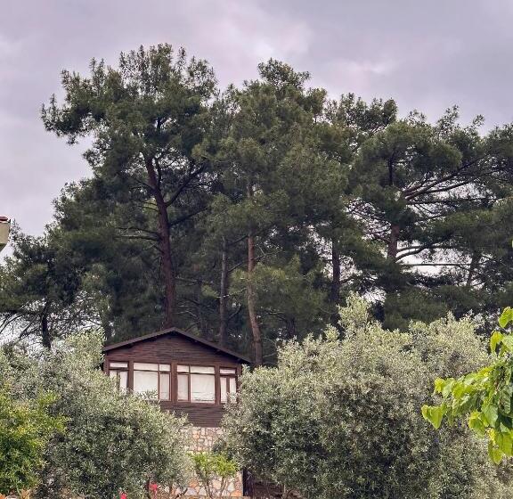Standard-bungalow, Ephesus Retreat