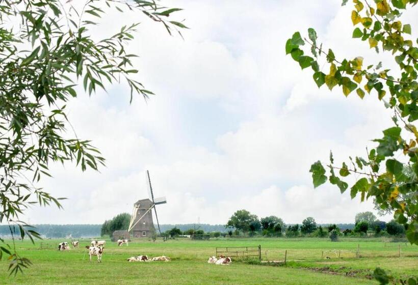 Pokój Comfort, De Willigen Logies