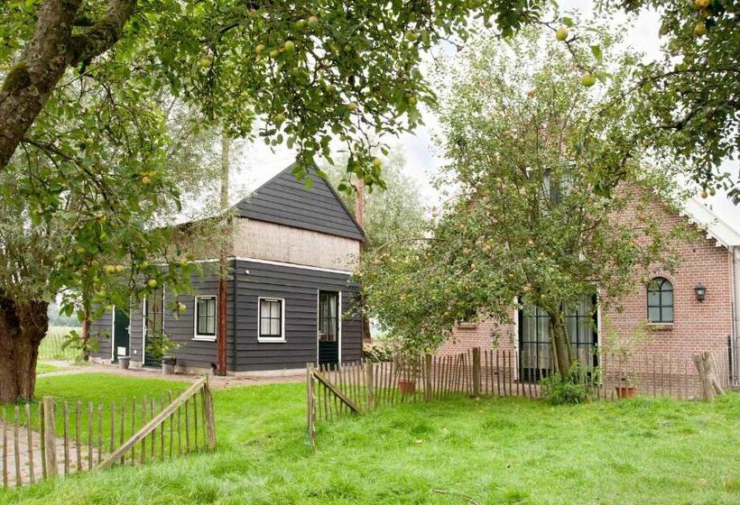 Dom 1 Sypialnia, De Willigen Logies