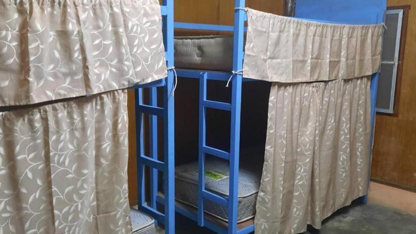 Кровать в Общей Комнате, Chill Chill Long Beach Hostel