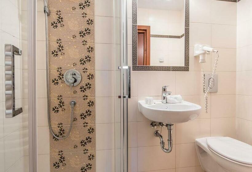 Номер Стандарт, Villa Magnat Spa, Jacuzzi, Sauna, Tężnia Solankowa