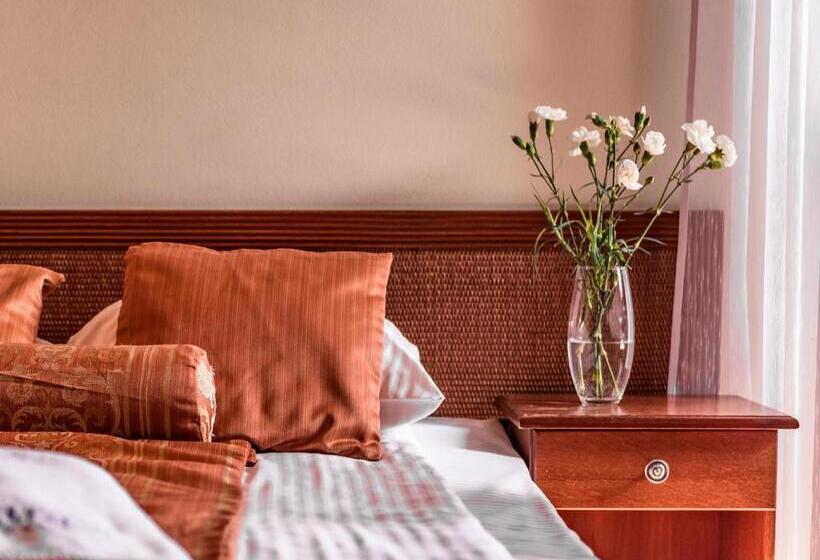 Четырехместный Номер Стандарт, Villa Magnat Spa, Jacuzzi, Sauna, Tężnia Solankowa