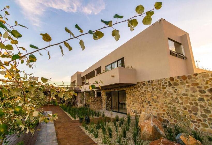 带大床的复式套间, Flores De Sal Valle De Guadalupe