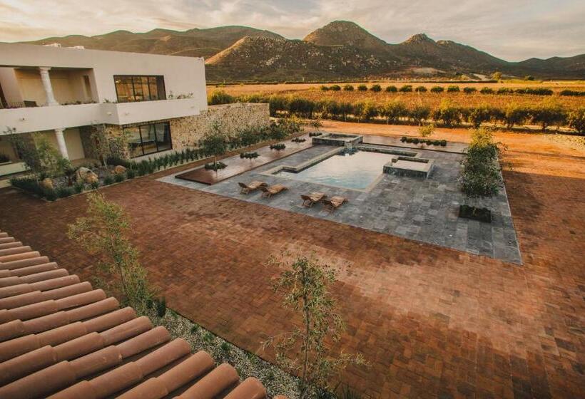总统套房, Flores De Sal Valle De Guadalupe
