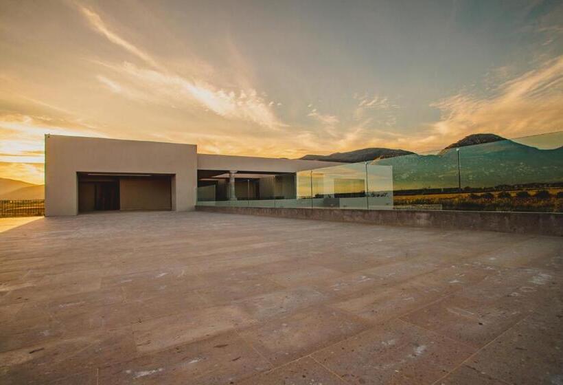 带大床的复式套间, Flores De Sal Valle De Guadalupe