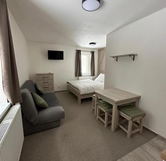 Студио Стандарт Кровать Кинг, Apartmány Vesna