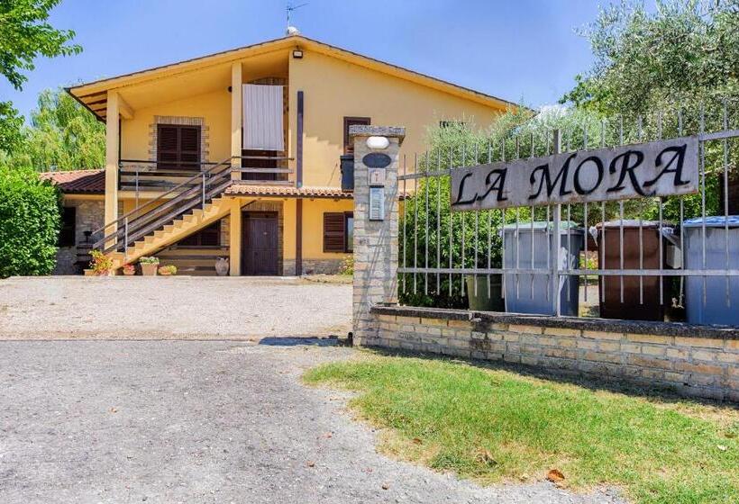 Апартаменты 1 Спальня, Agriturismo La Mora   Sagittario