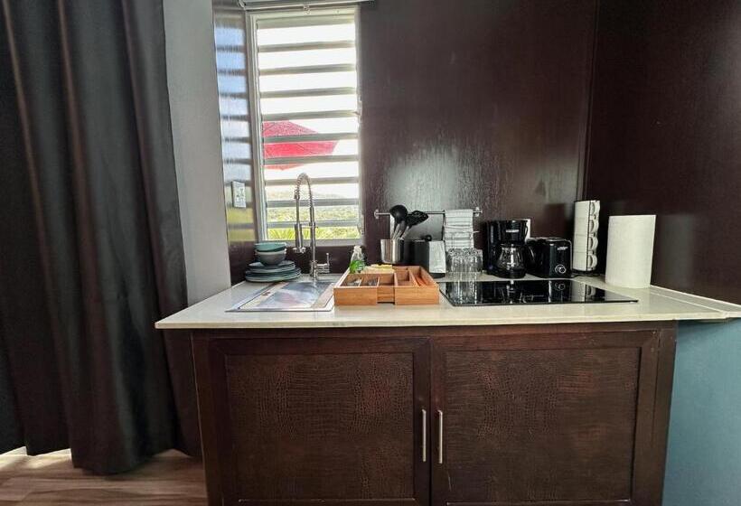 سوییت با چشم‌انداز باغ, Old Crow Hotel And Suites