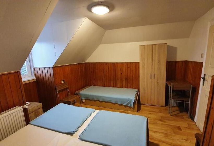 Трехместный Номер Стандарт Совместная Ванная, Sšvp 1. Máj