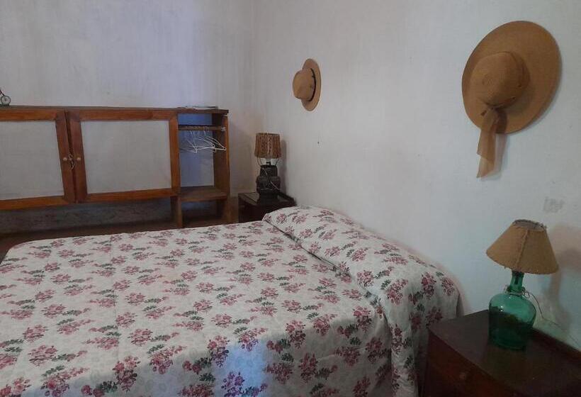 低层单卧公寓, Hostal Antigua Casa Criolla