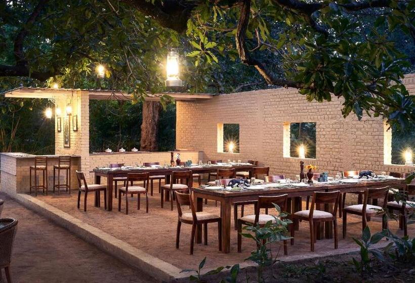 Deluxe Tent, Bagh Tola, Bandhavgarh Tiger Reserve