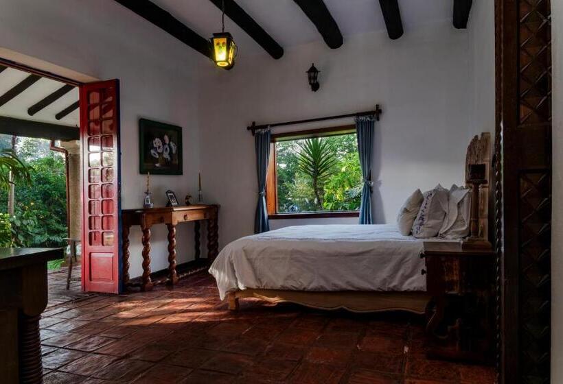 标准房带园景, Hacienda Coloma