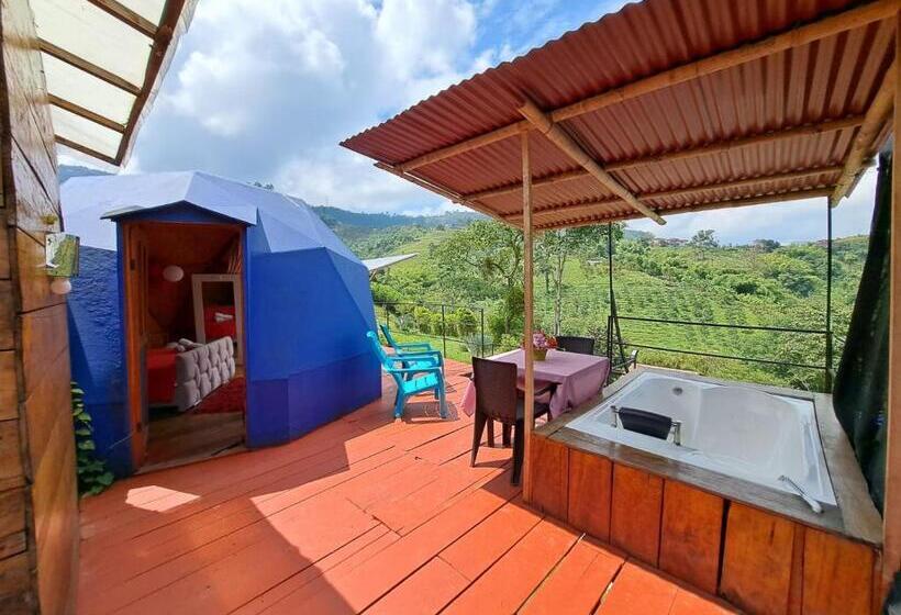 수피리어 스위트, Glamping Horse