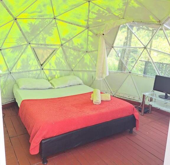 테라스 스위트, Glamping Horse