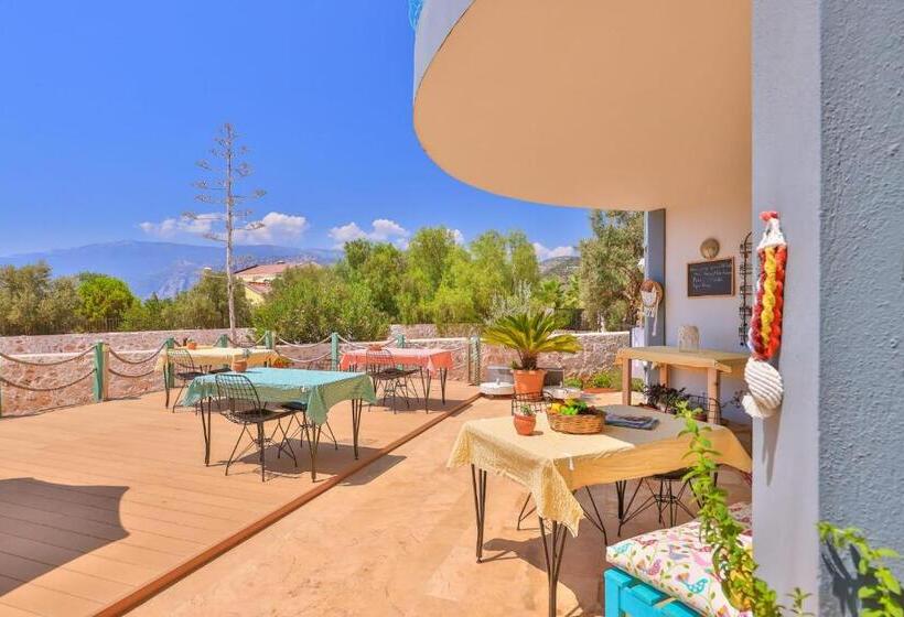Номер Стандарт, Lacitrus Villa &