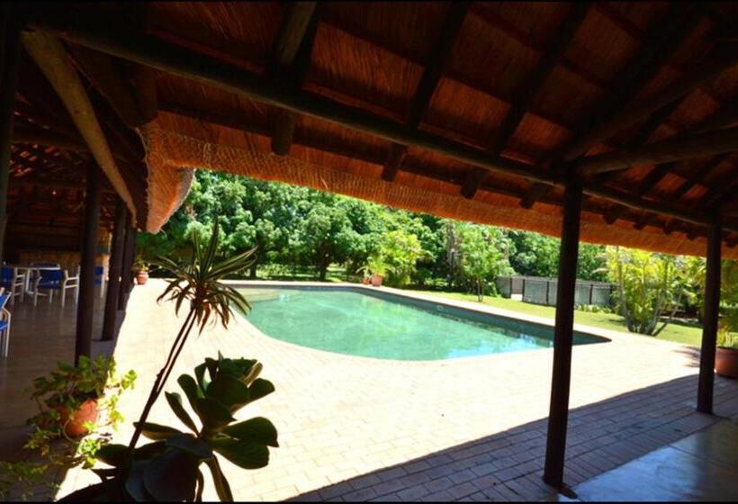 Номер Стандарт, Tamanini Timbavati Lodge