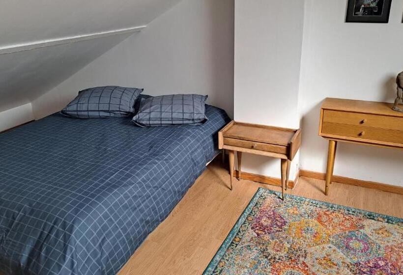 豪华房间, Cosy Room