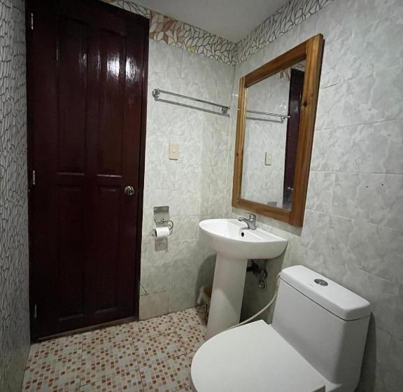 اتاق ساده سه‌ نفره, Marian S Transient House