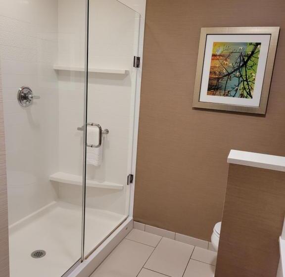Стандартный Номер Кровать Кинг, Fairfield Inn & Suites By Marriott Butte