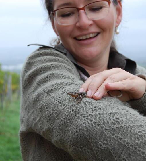 غرفة كومفورت فردية, Heinrichs Winery Bed & Breakfast