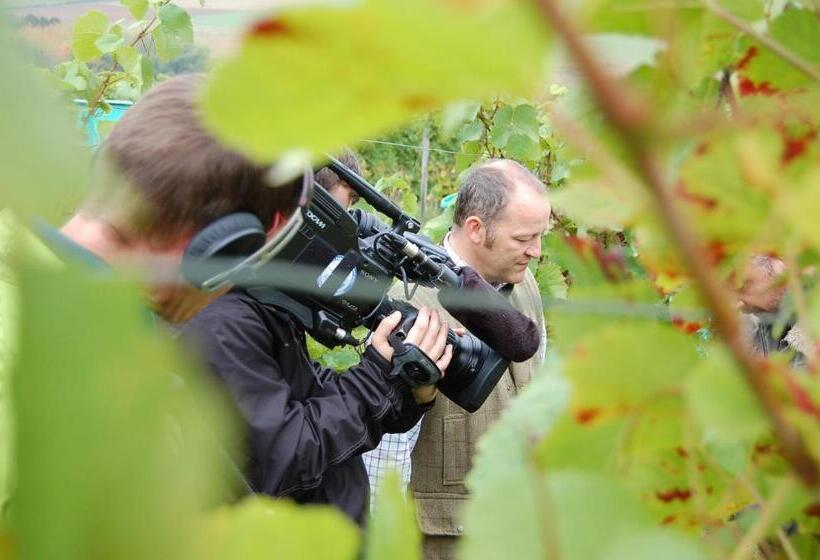 غرفة كومفورت فردية, Heinrichs Winery Bed & Breakfast