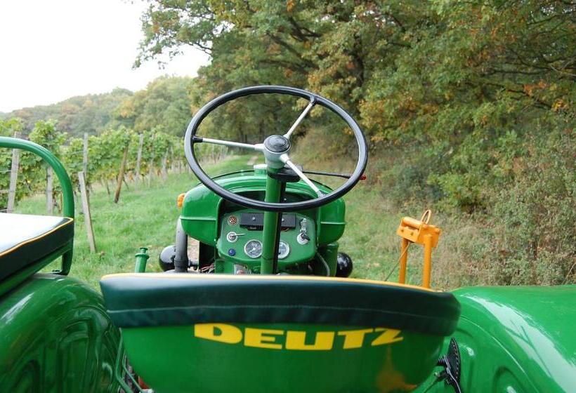 غرفة كومفورت فردية, Heinrichs Winery Bed & Breakfast