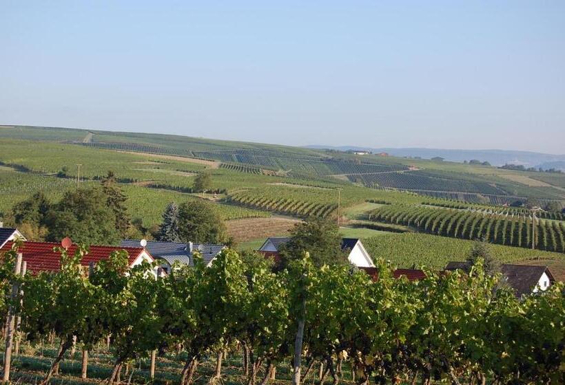 Номер Комфорт Индивидуальный, Heinrichs Winery Bed & Breakfast