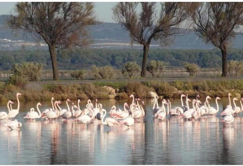 Апартаменты 1 Спальня с Террасой, Gîte Le Muscat L Escapade Des Flamants Roses