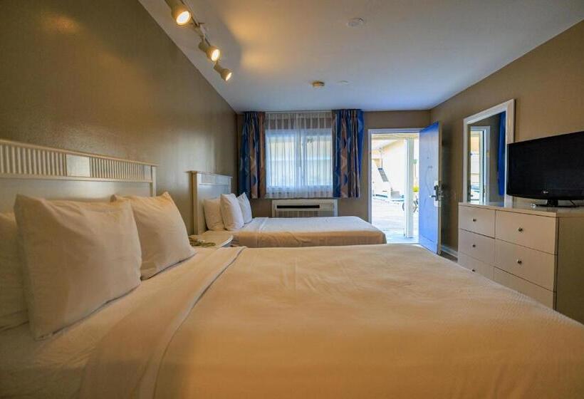 스탠다드 룸, The White Sands Resort And Spa