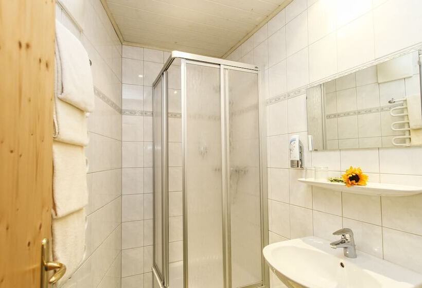 Апартаменты 1 Спальня, Appartements Trinker