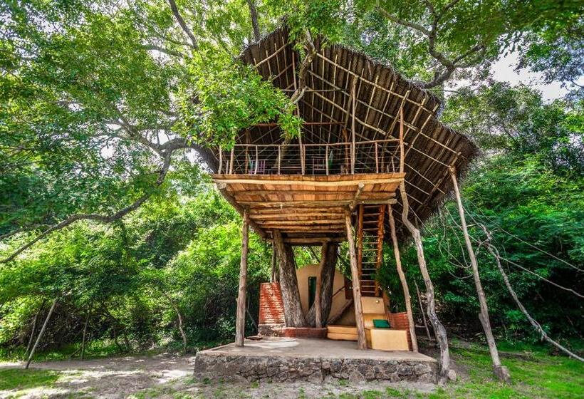 Дом 1 Спальня, Back Of Beyond   Wild Haven