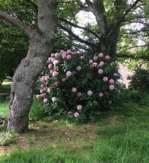 Номер Стандарт Вид на Сад, La Forge De La Coudraie