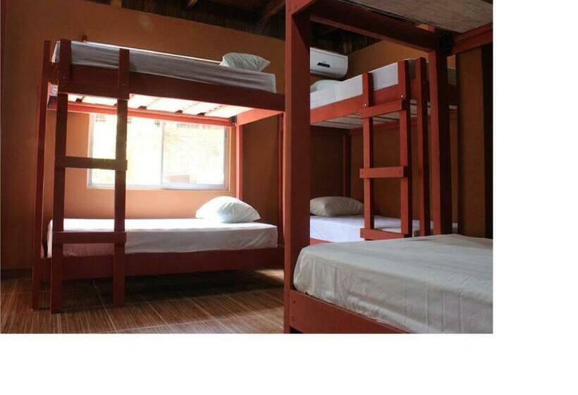 공동 객실, Coral Reef Surf Hostel And Camp