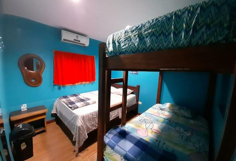 스탠다드 룸, Coral Reef Surf Hostel And Camp