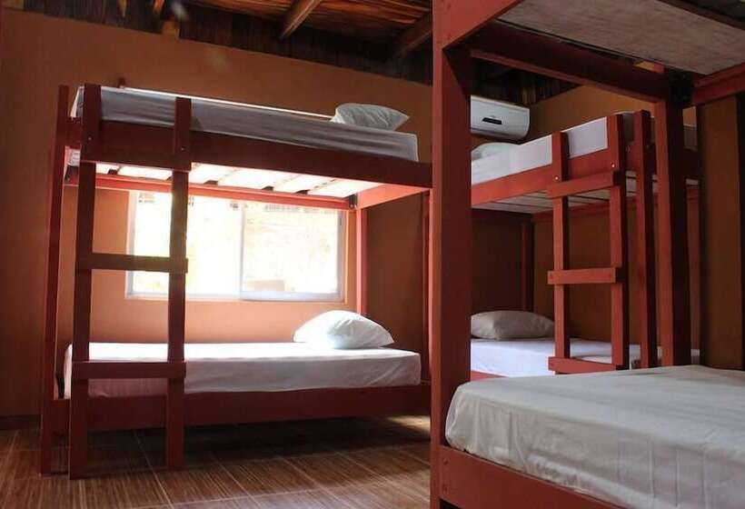 공동 객실, Coral Reef Surf Hostel And Camp