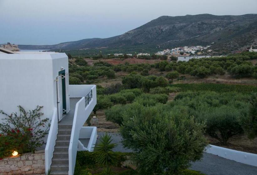 Студия Стандарт, Cavo Plako Villas