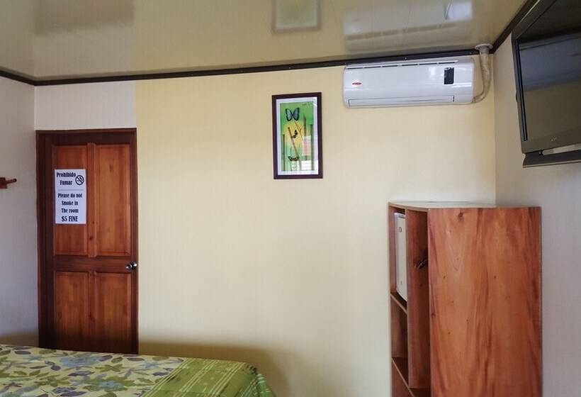 기본룸, Fas B&b