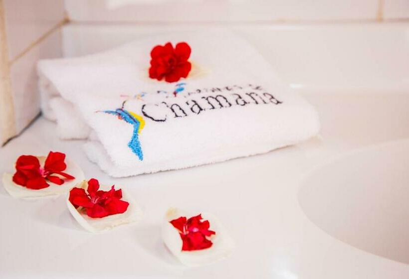4인용 스탠다드 룸, Jardines De Chamana