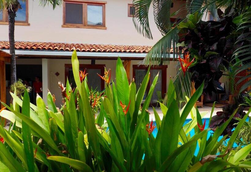 스탠다드 룸, Ten North Tamarindo Beach