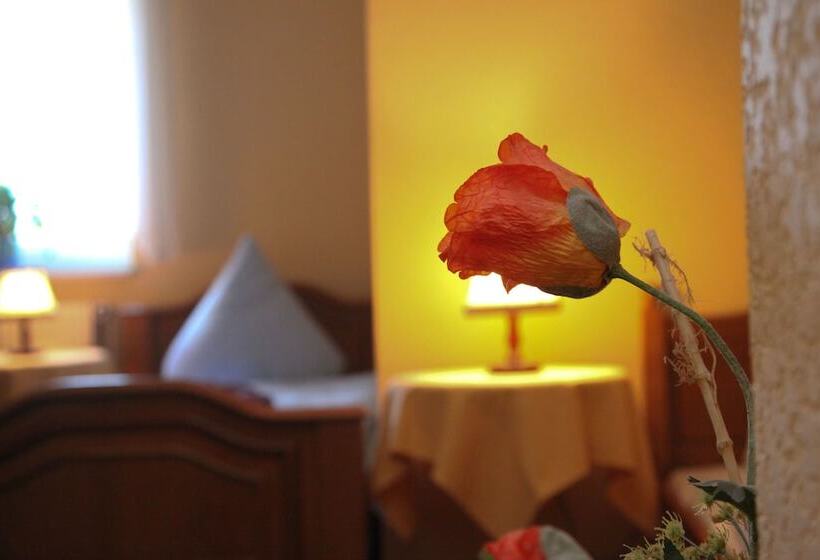 스탠다드 싱글 룸, Wolfshotel Am Arendsee