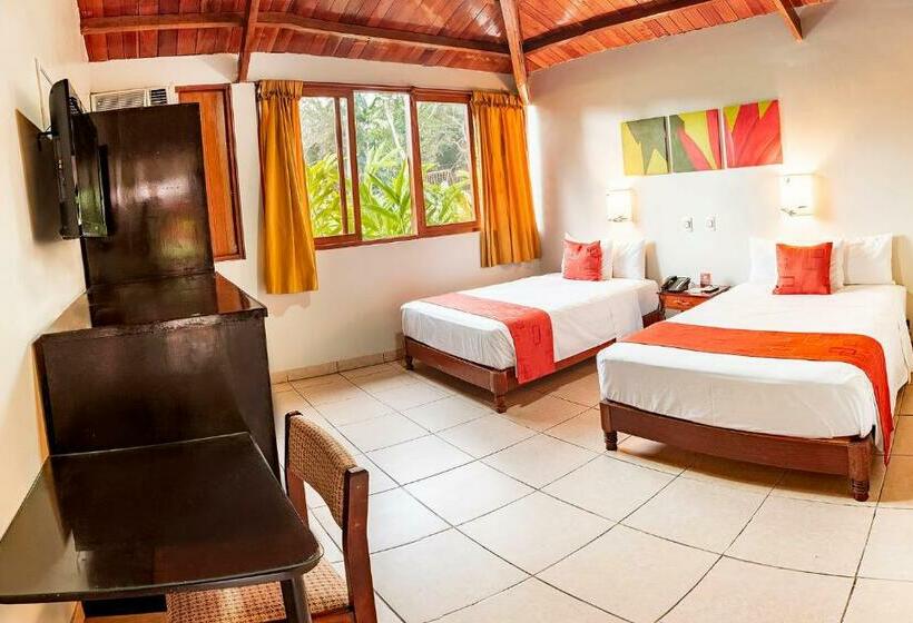 Номер Стандарт, Dm Es Tarapoto