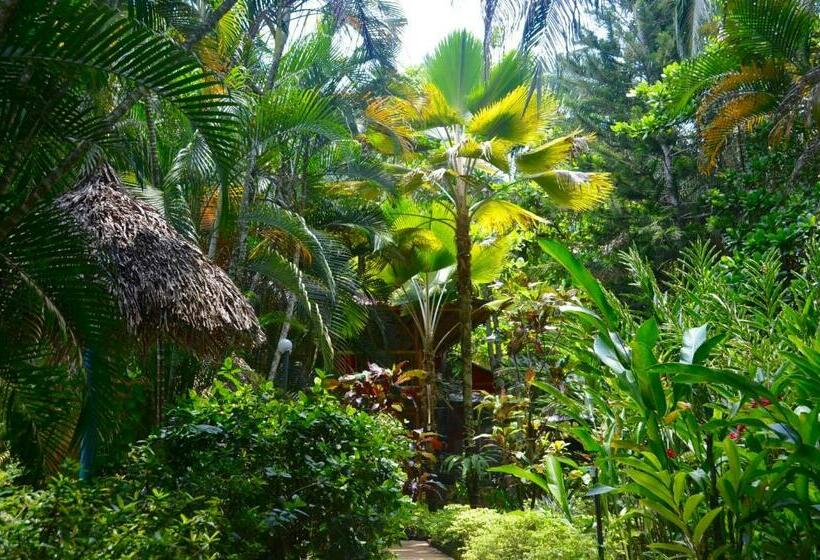סוויטה משפחתית, Amanwana Ecofinca
