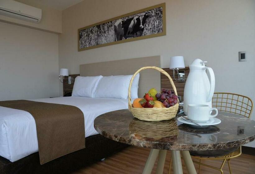 스탠다드 싱글 룸, Dm Hoteles Moquegua