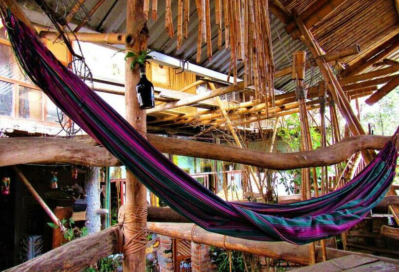 اتاق استاندارد, Casa Tarzan