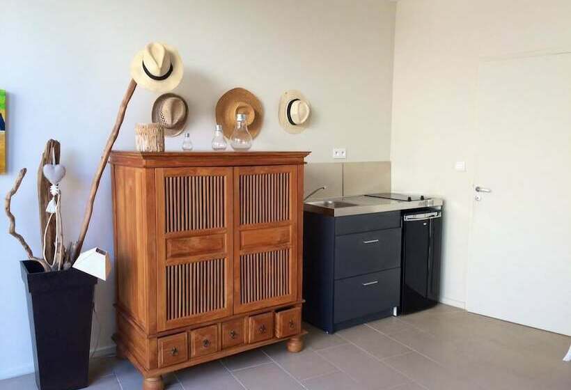 Апартаменты 1 Спальня с Террасой, B&b Le Mas