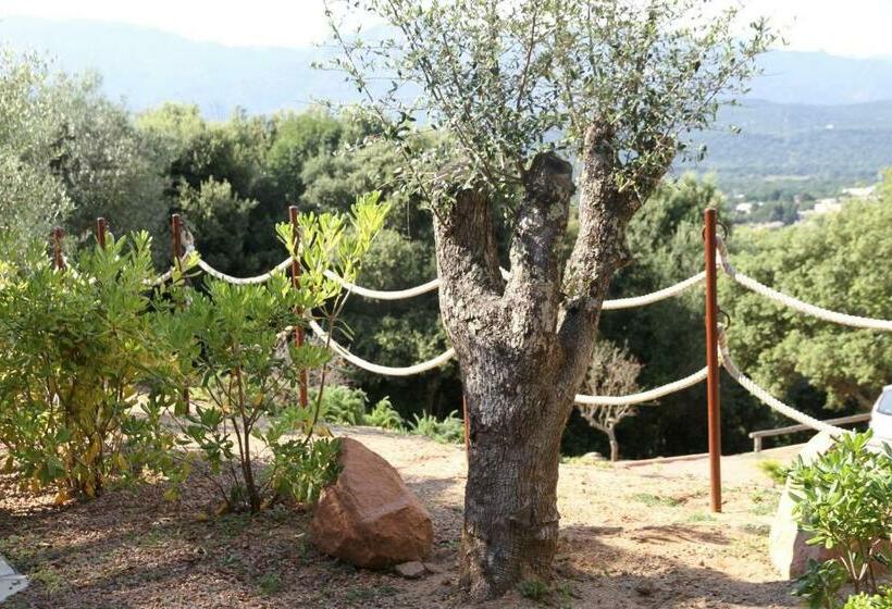 Apartament 21 Dormitor Superior, Residence A Licetta